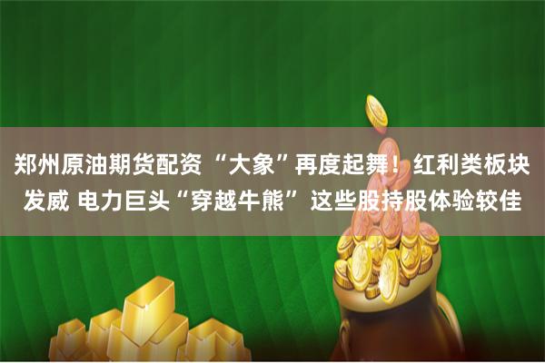 郑州原油期货配资 “大象”再度起舞！红利类板块发威 电力巨头“穿越牛熊” 这些股持股体验较佳