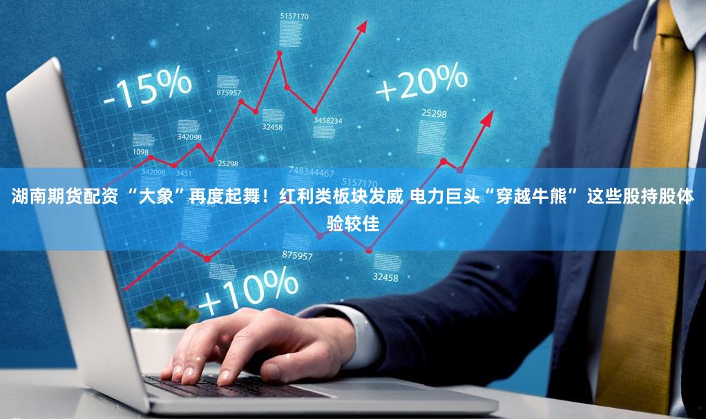 湖南期货配资 “大象”再度起舞！红利类板块发威 电力巨头“穿越牛熊” 这些股持股体验较佳