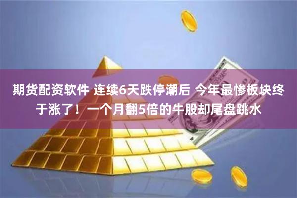 期货配资软件 连续6天跌停潮后 今年最惨板块终于涨了！一个月翻5倍的牛股却尾盘跳水